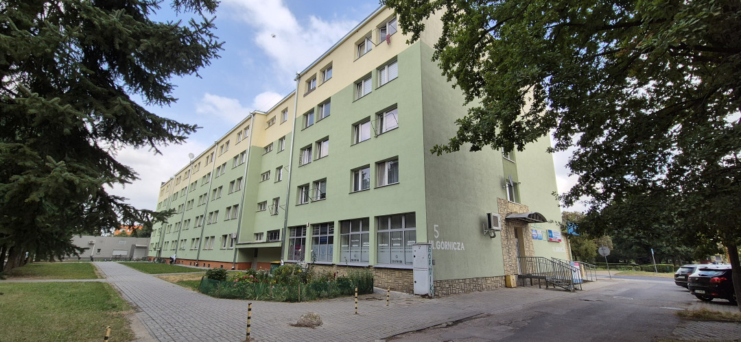 Zdjęcie