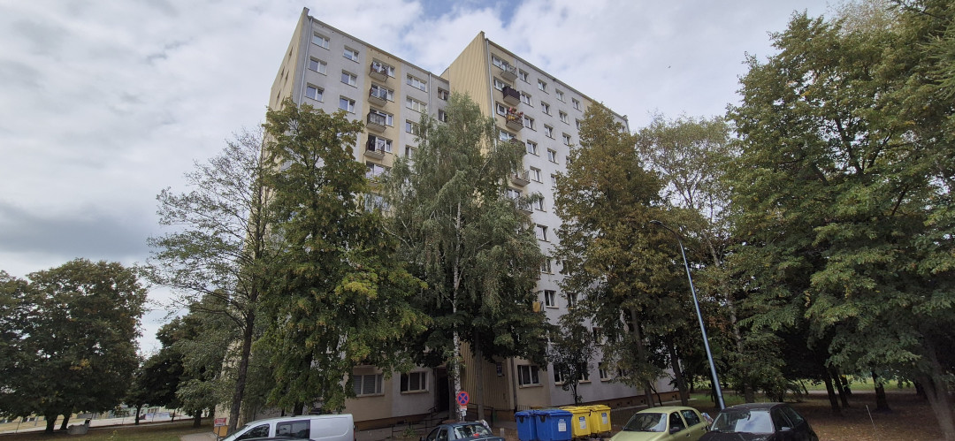 Zdjęcie