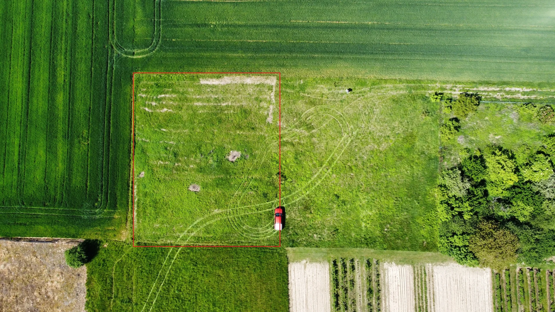 Miniatura zdjęcia 1