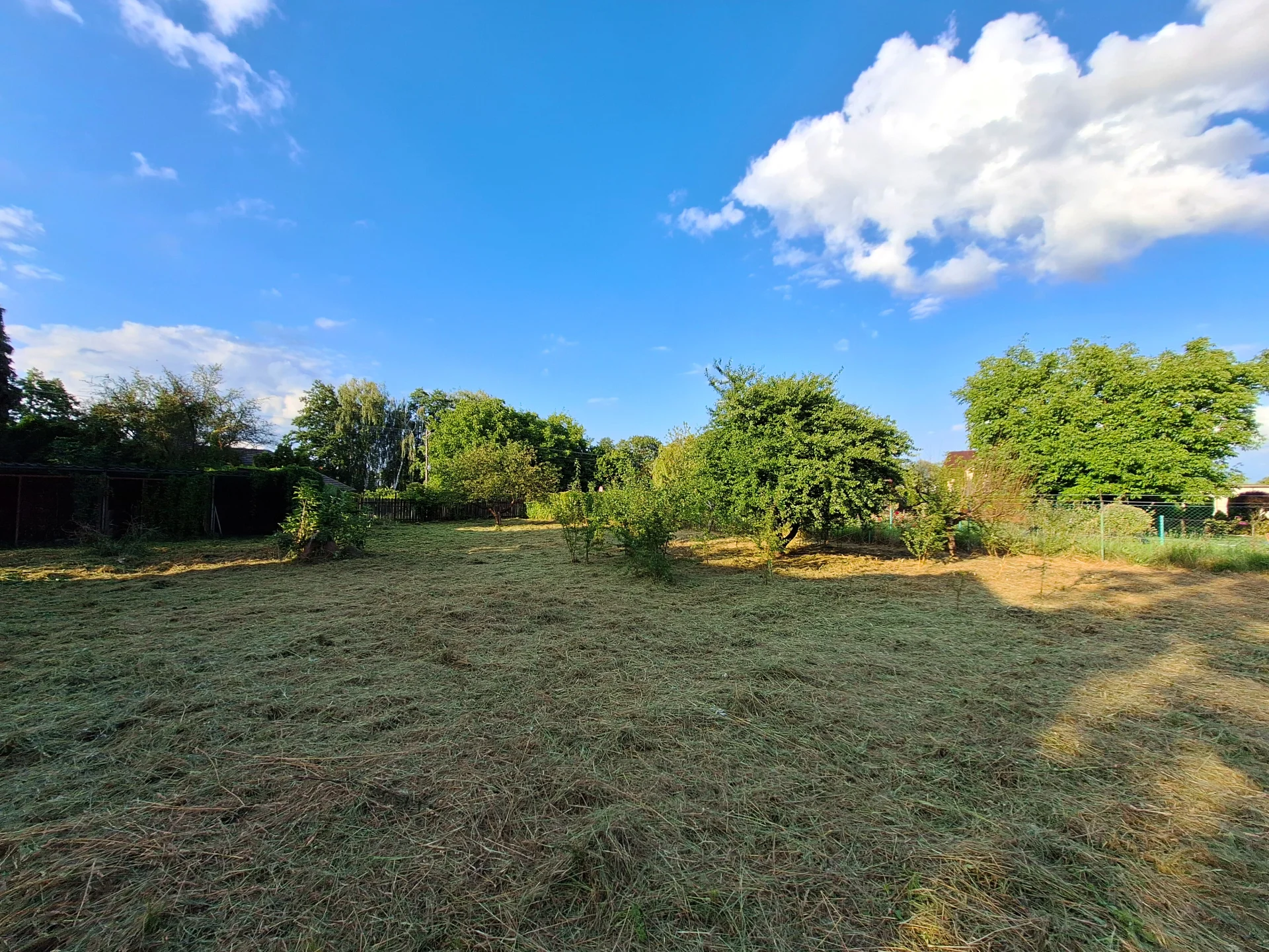 Miniatura zdjęcia 1