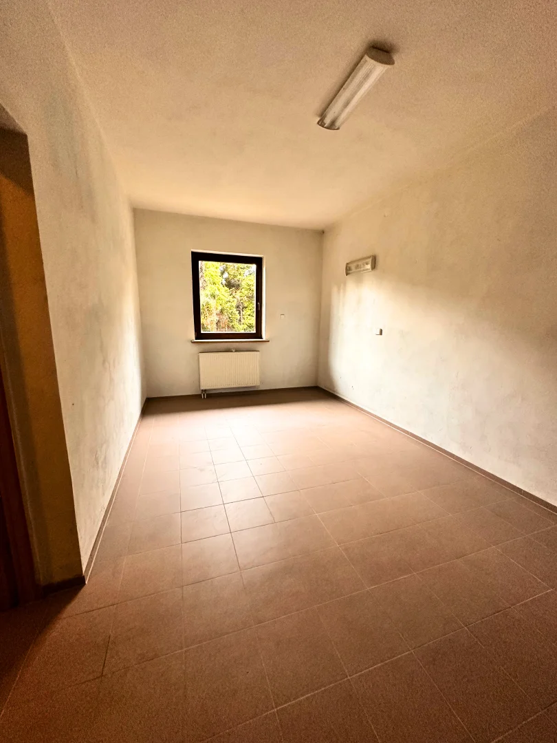 Miniatura zdjęcia 1