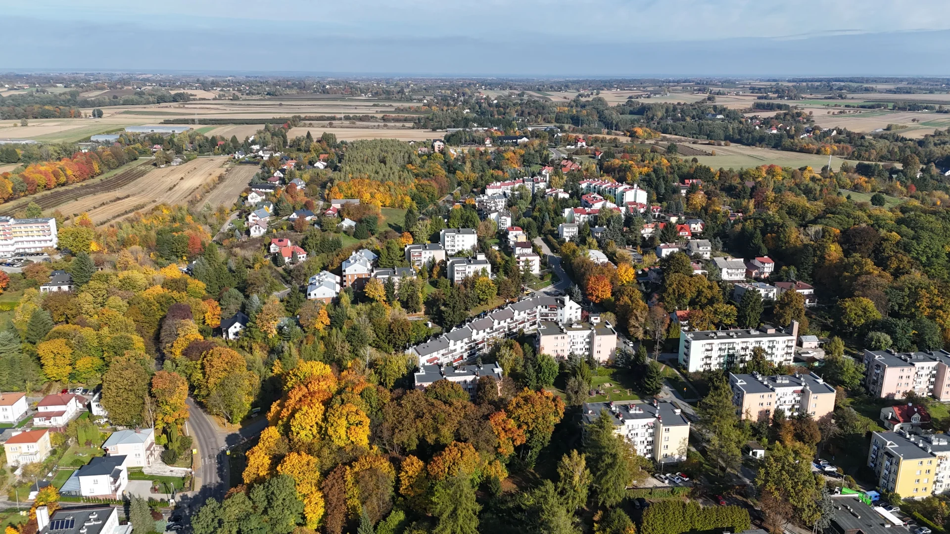 Miniatura zdjęcia 1