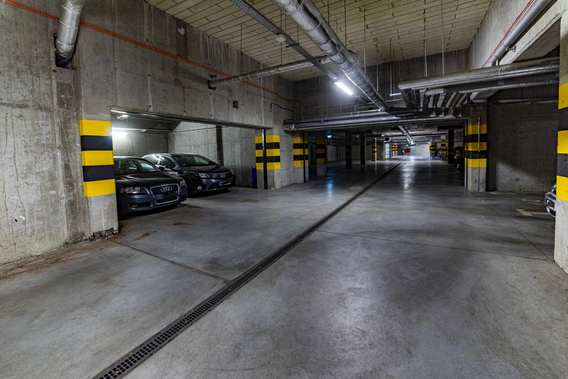 Miniatura zdjęcia 1