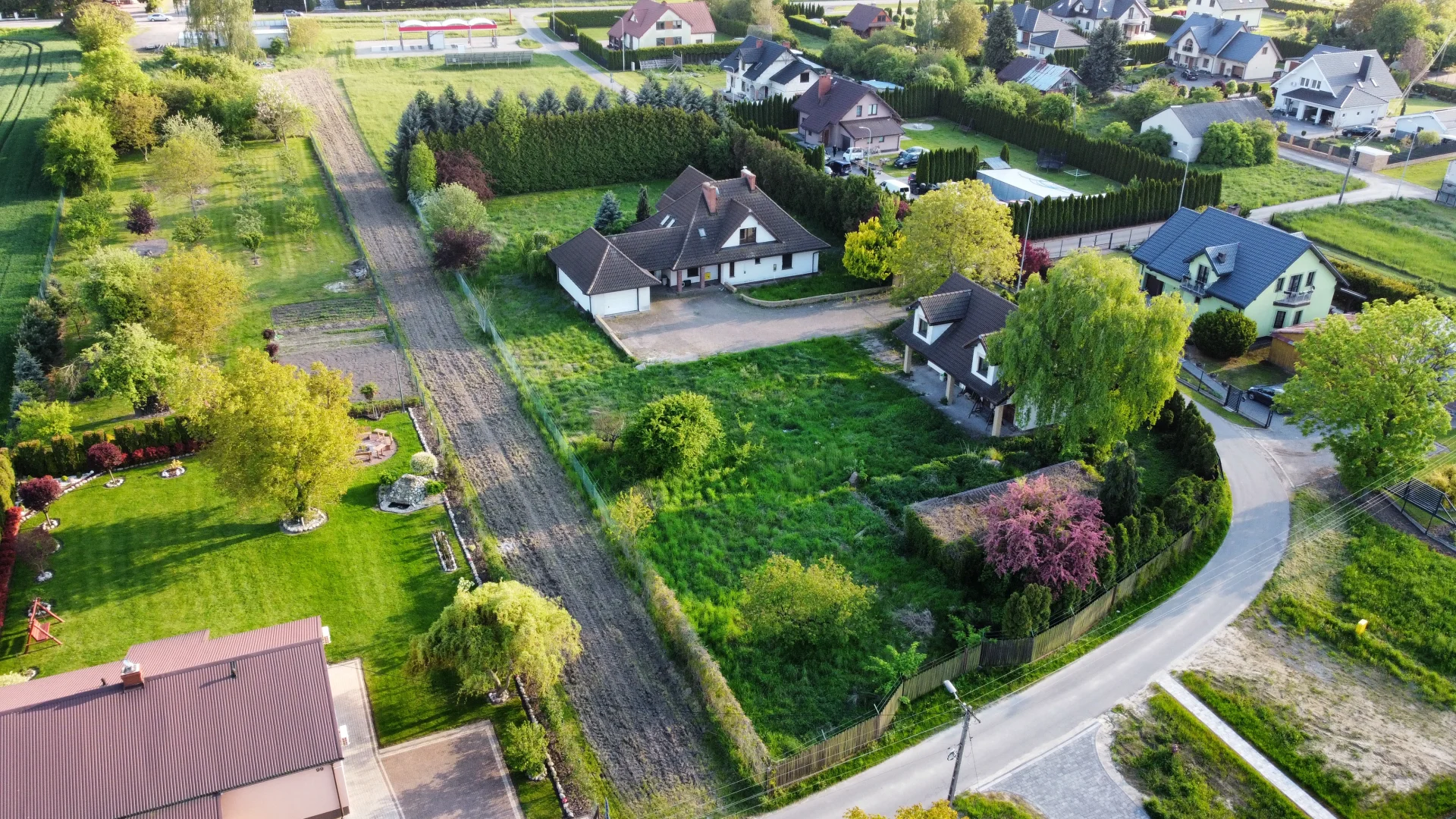 Miniatura zdjęcia 1