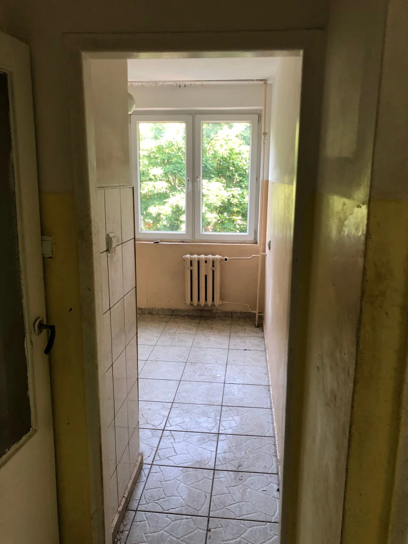 Miniatura zdjęcia 1