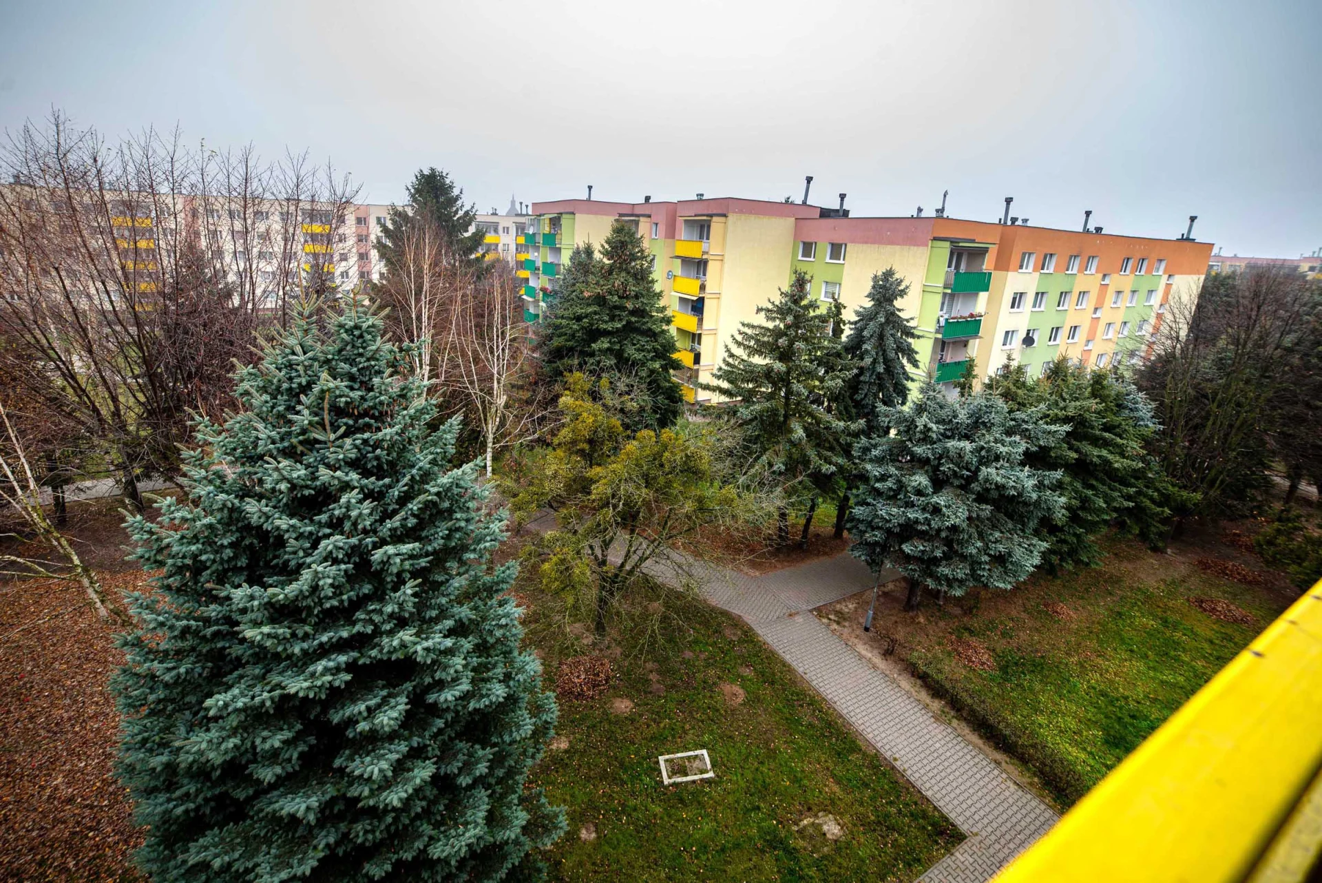 Miniatura zdjęcia 1