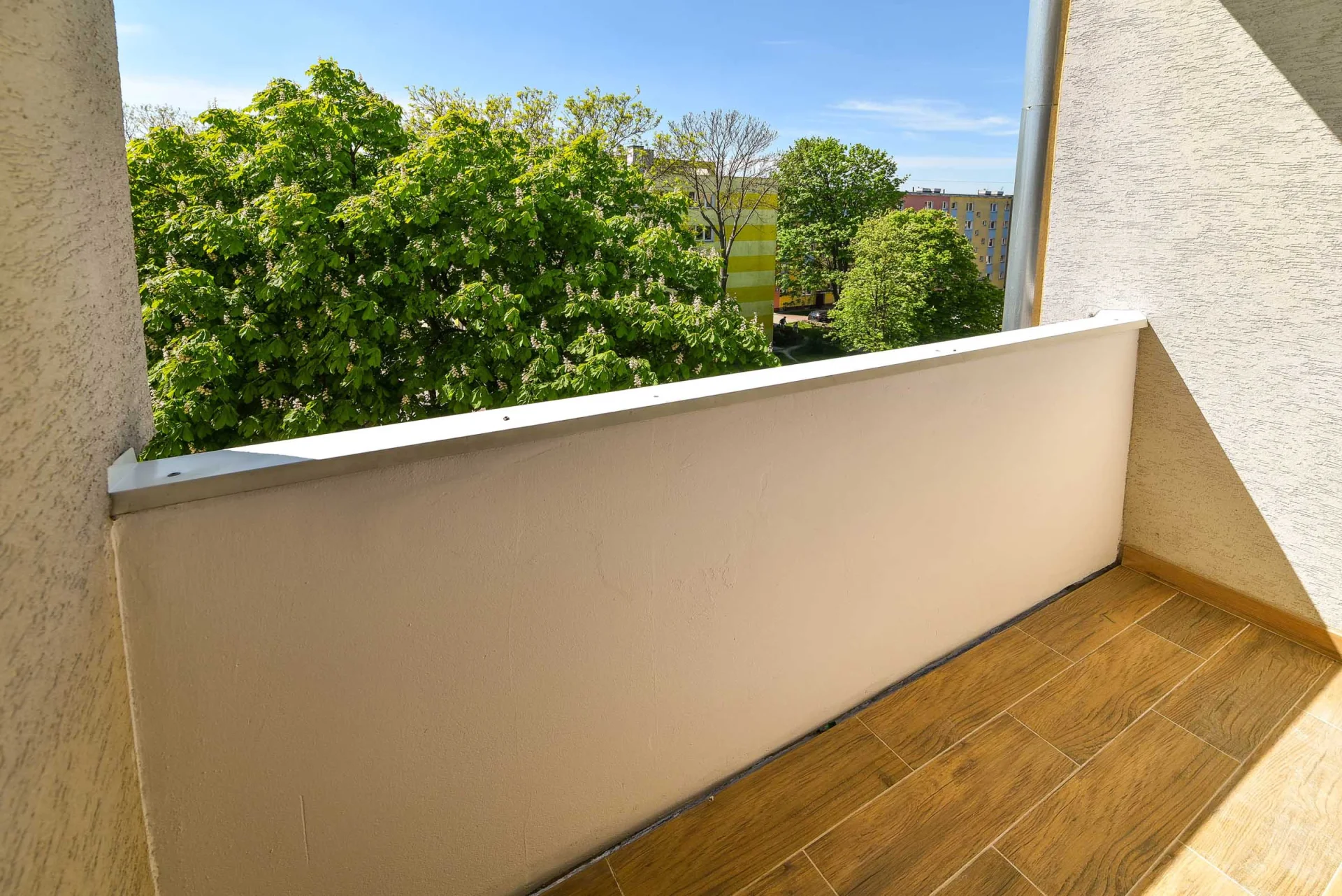 Miniatura zdjęcia 1