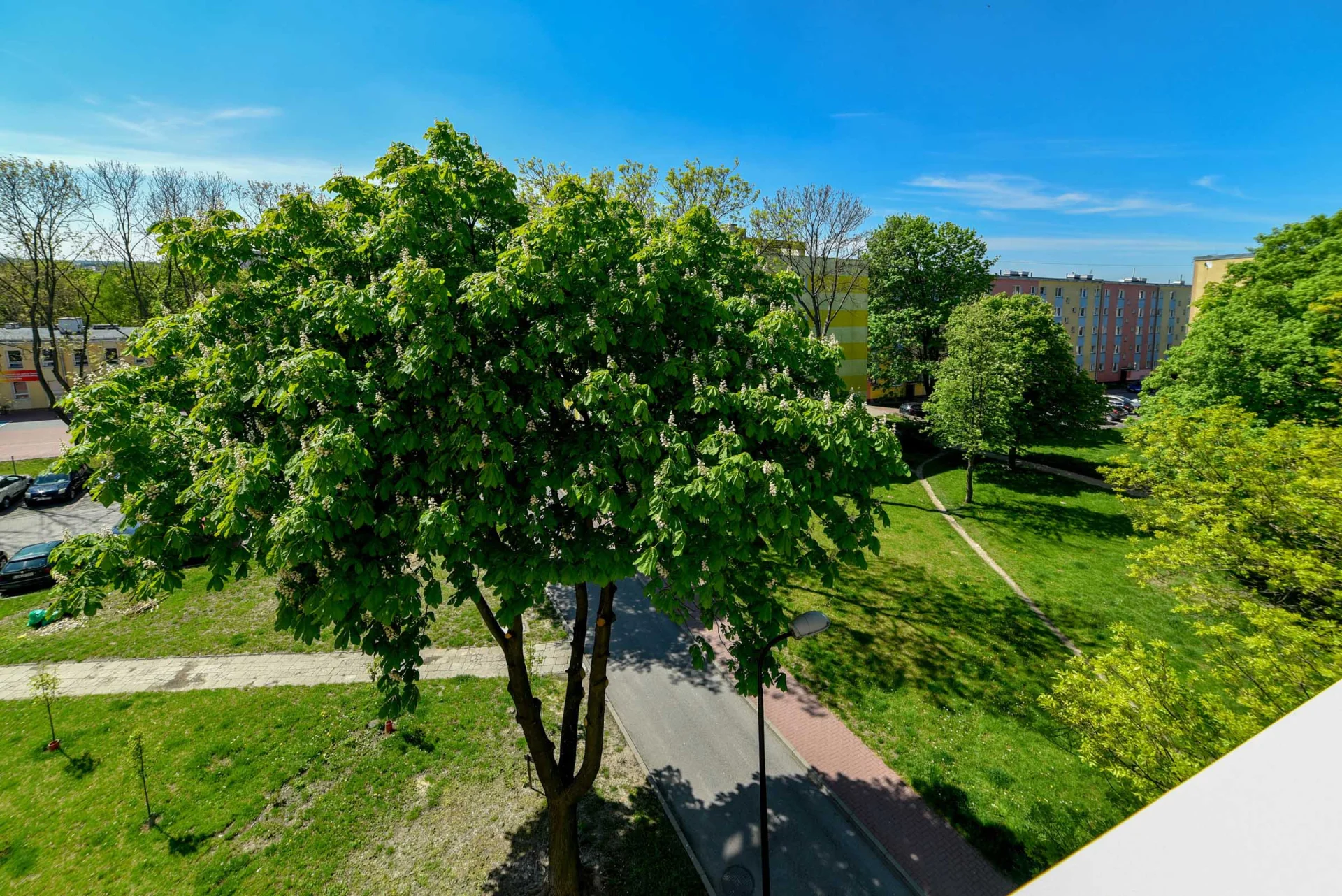 Miniatura zdjęcia 1