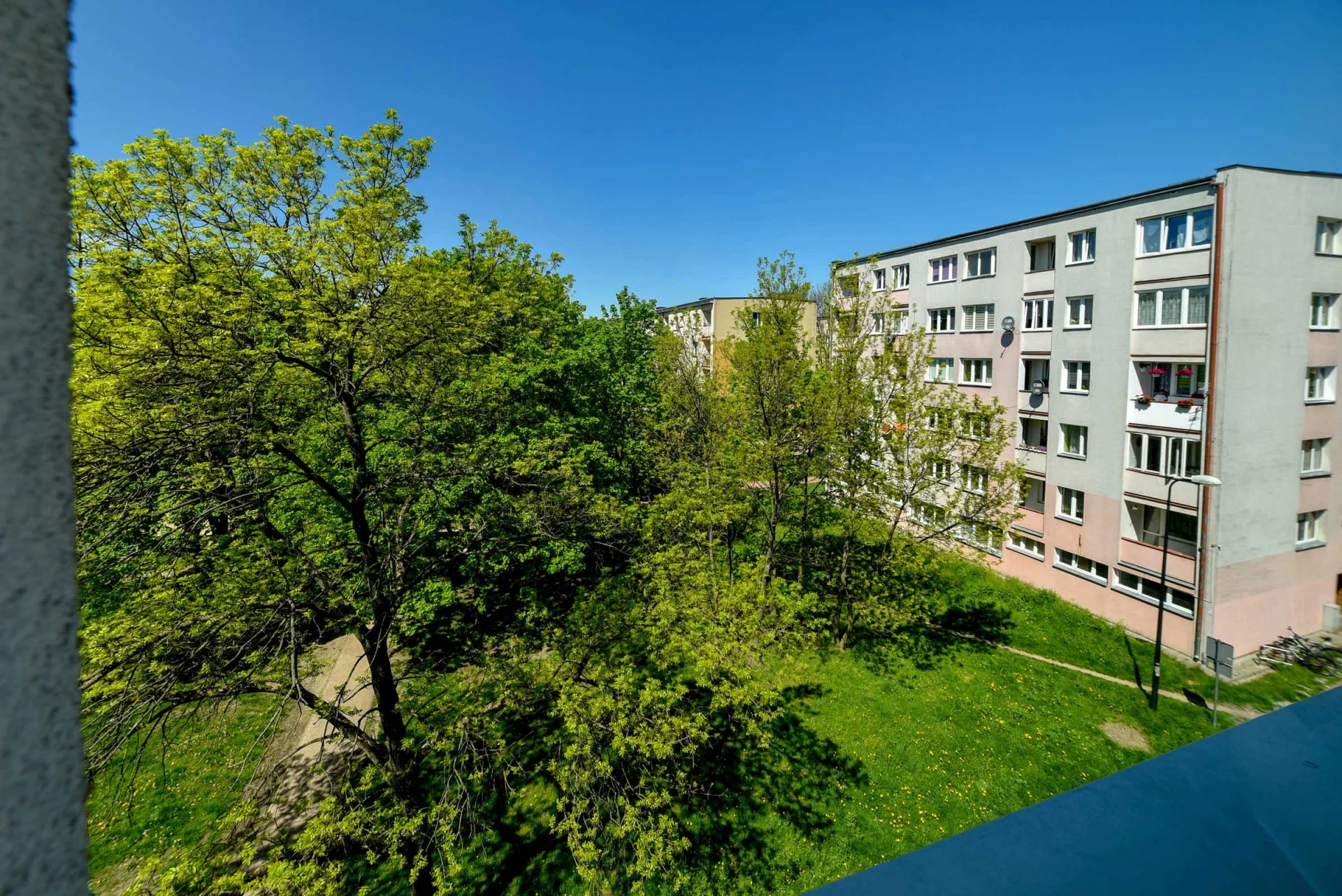 Miniatura zdjęcia 1