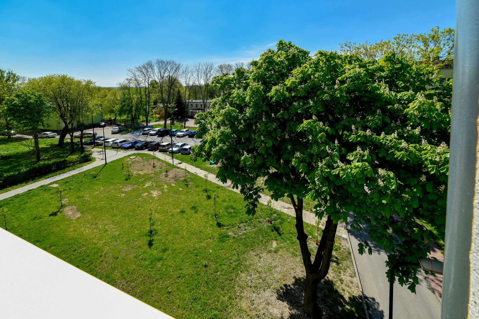 Miniatura zdjęcia 1