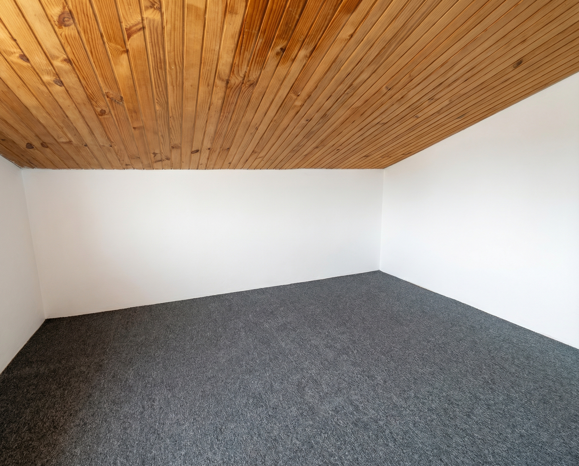 Miniatura zdjęcia 1